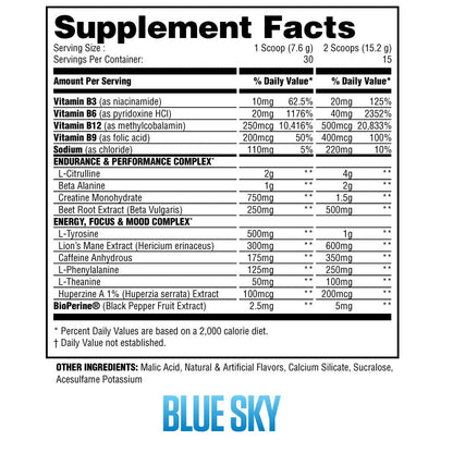 Steel Supplements Supplement PRE